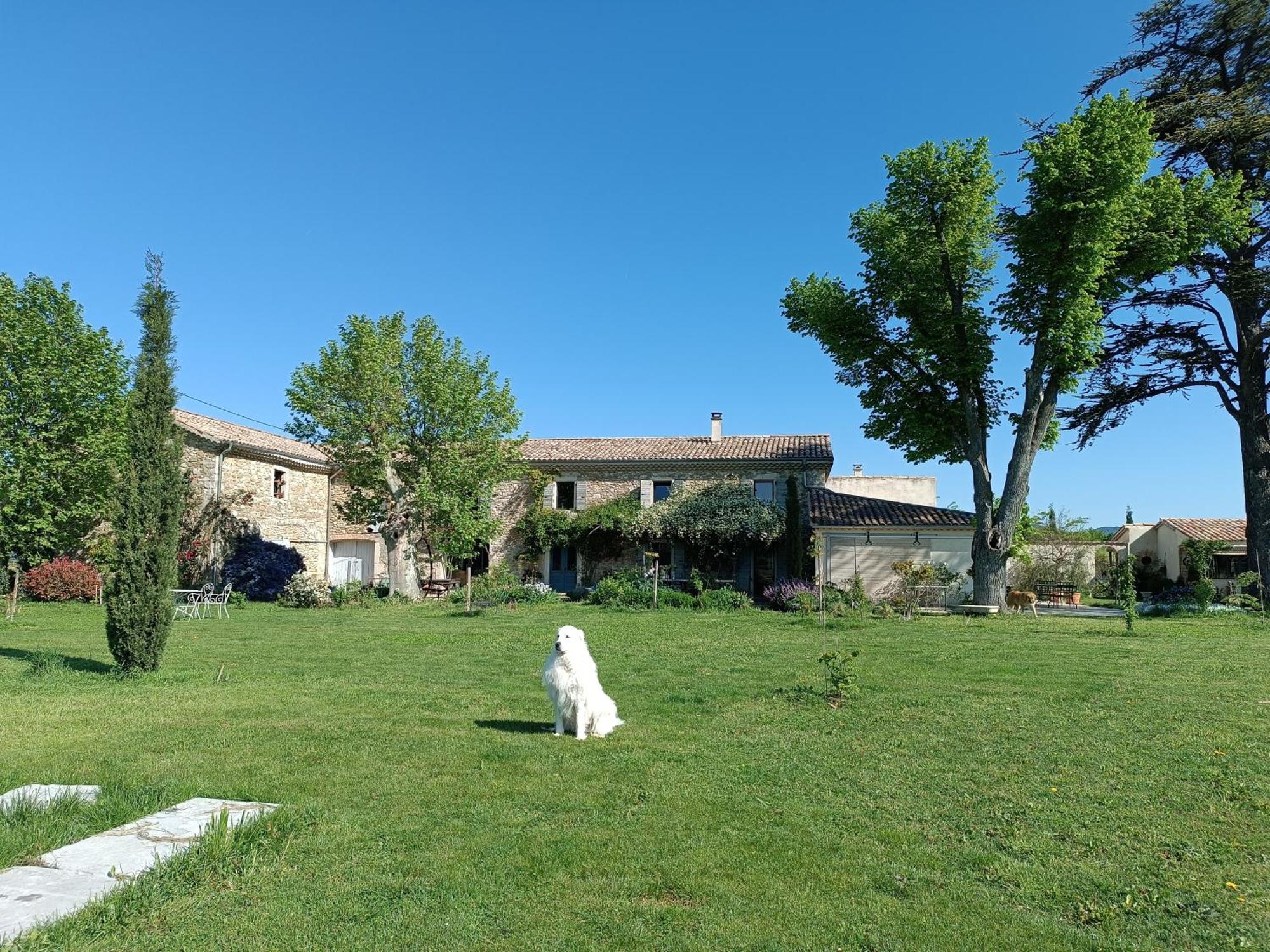 La Boheme Bed & Breakfast Charols Exterior photo